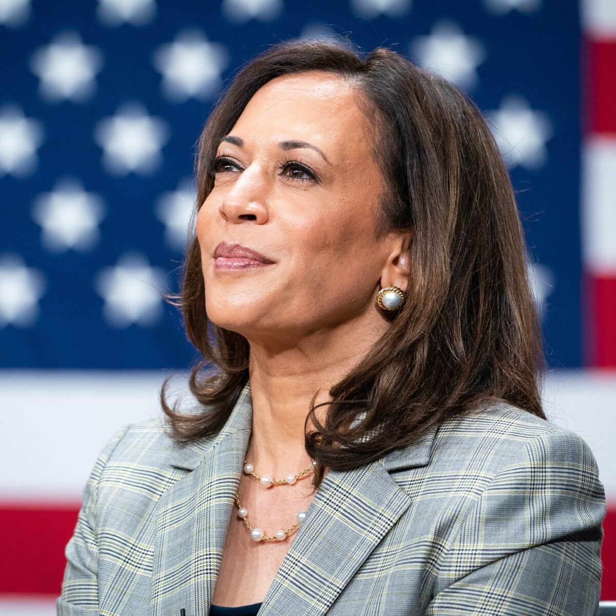 Kamala Harris primește sprijinul principalilor donatori democrați ai lui Joe Biden