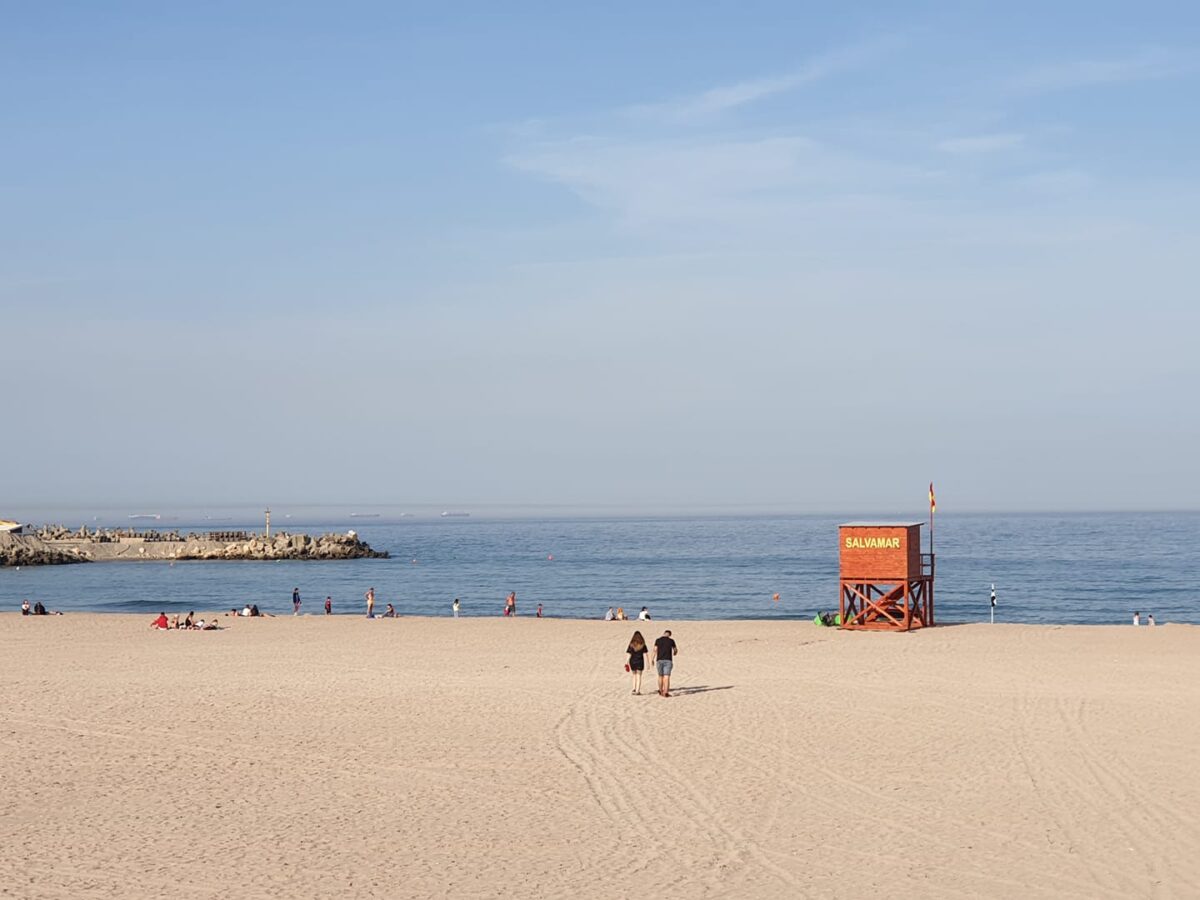 Controale ANPC la Năvodari: Piedone s-a luat cu mâinile de cap