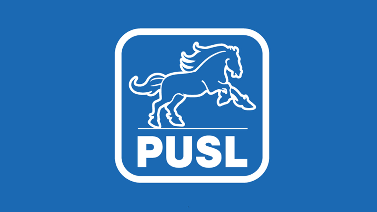 PSD și PUSL constituie un grup comun în Consiliul General al Capitalei: cooperare politică pentru proiecte utile bucureștenilor