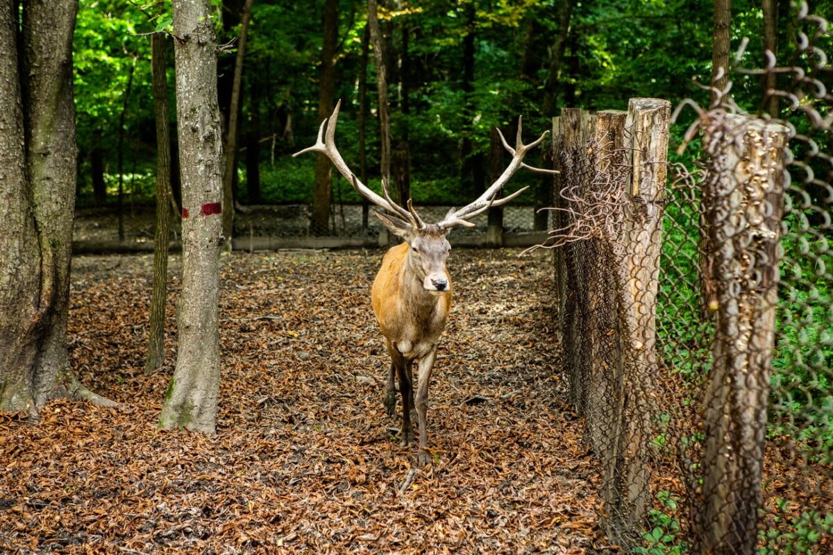 Cinci locuri naturale de vis din Republica Moldova. Cât costă plimbarea cu ghidul