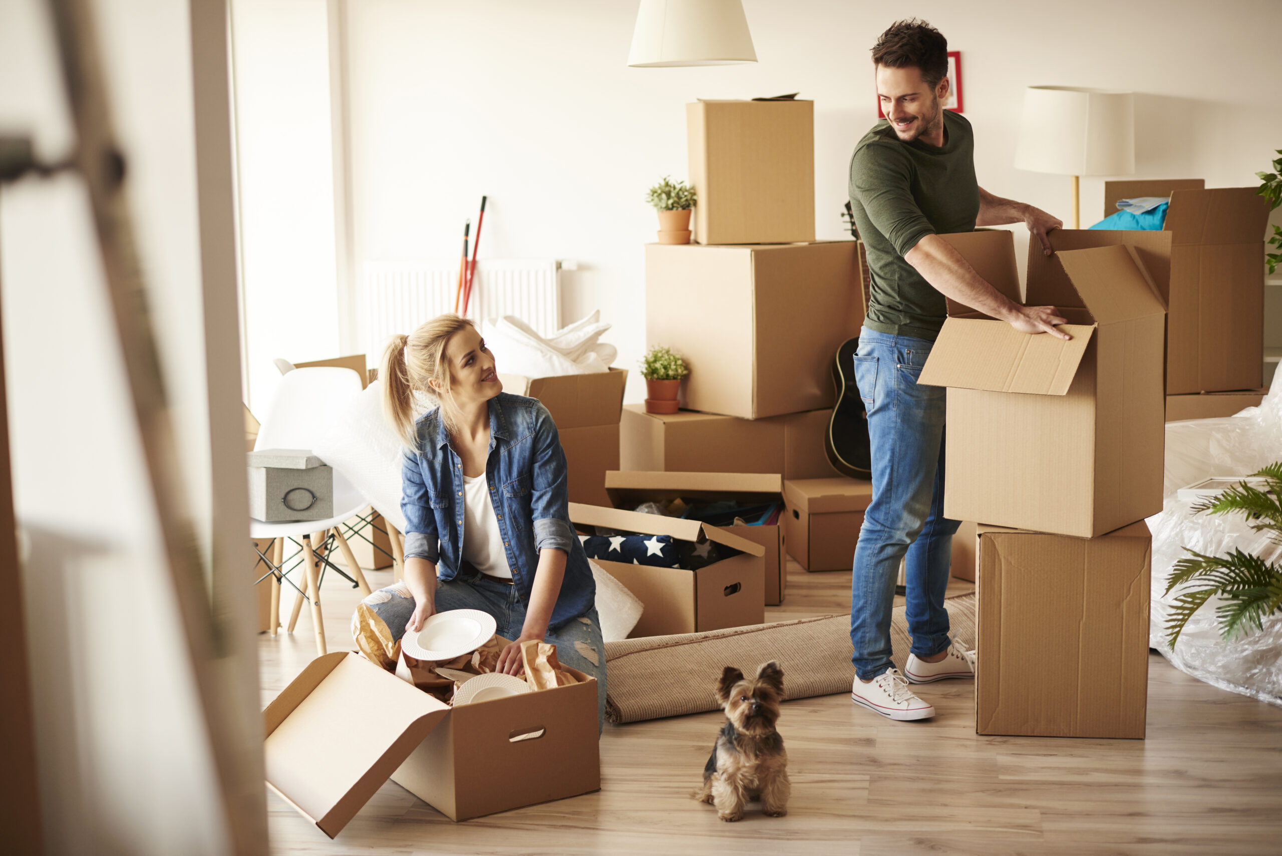 Piața chiriilor din România. Aceeași sumă poate însemna garsonieră sau apartament cu două camere