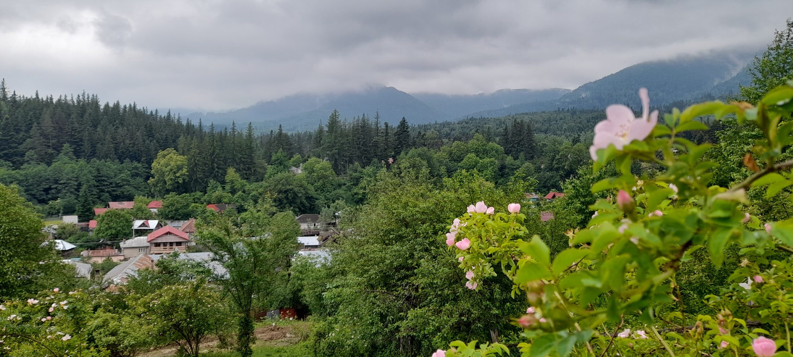 Stațiunea montană cu cel mai curat aer din România, transformată la începutul secolului XX