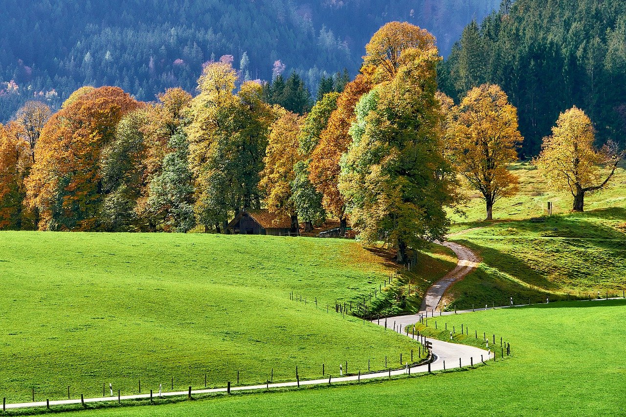 Prognoza ANM pentru perioada 3-16 august. Val de caniculă extremă, urmat de furtuni și răcire treptată în toată țara
