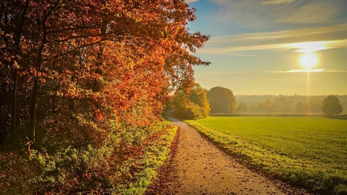 Prognoza meteo, 24 septembrie. Zi de vară cu temperaturi de 30 de grade. Unde va ploua