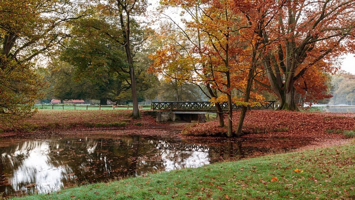 Prognoza meteo pentru 23 octombrie. Vreme însorită și deosebit de caldă
