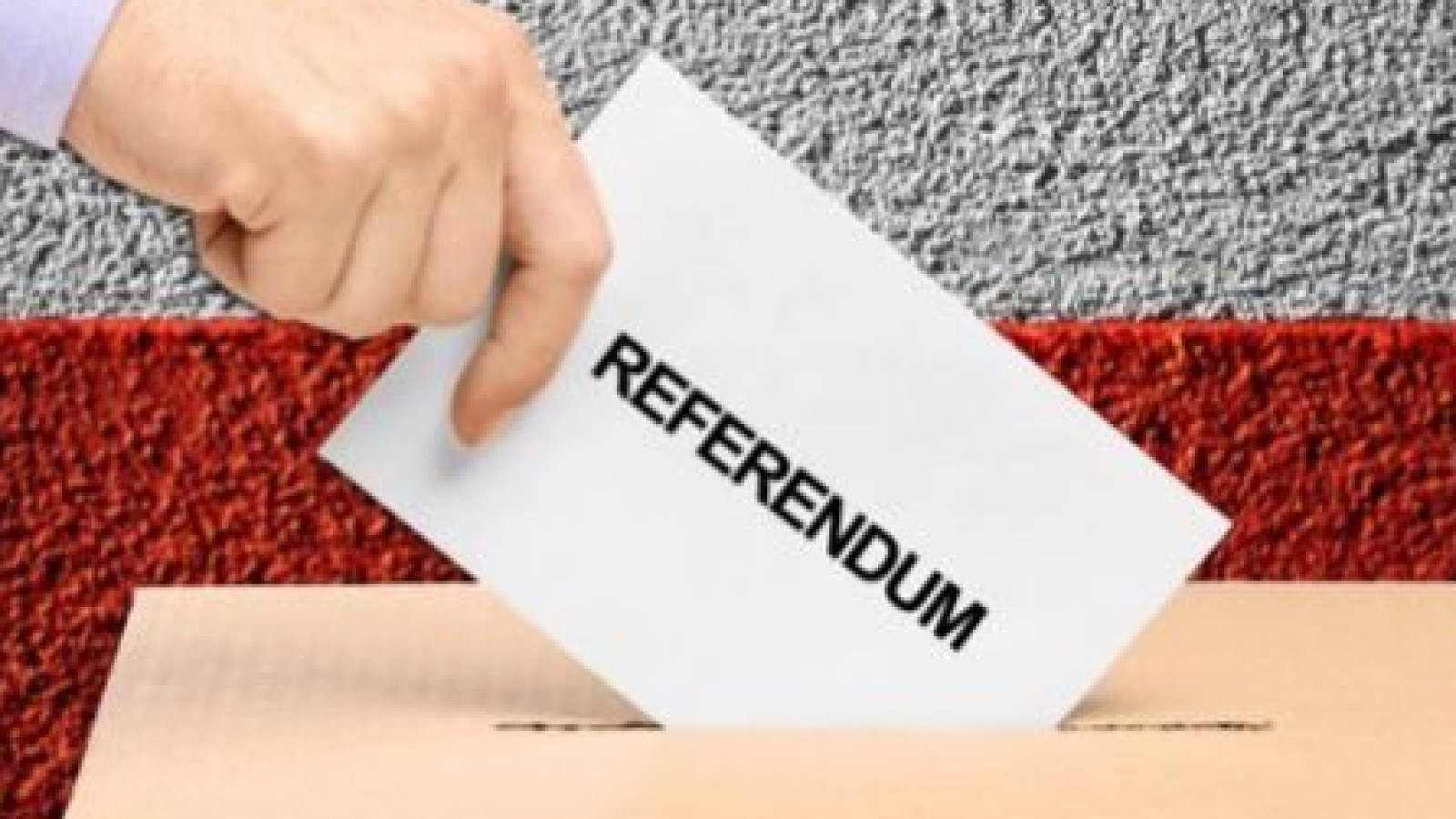 referendumul Nicușor Dan