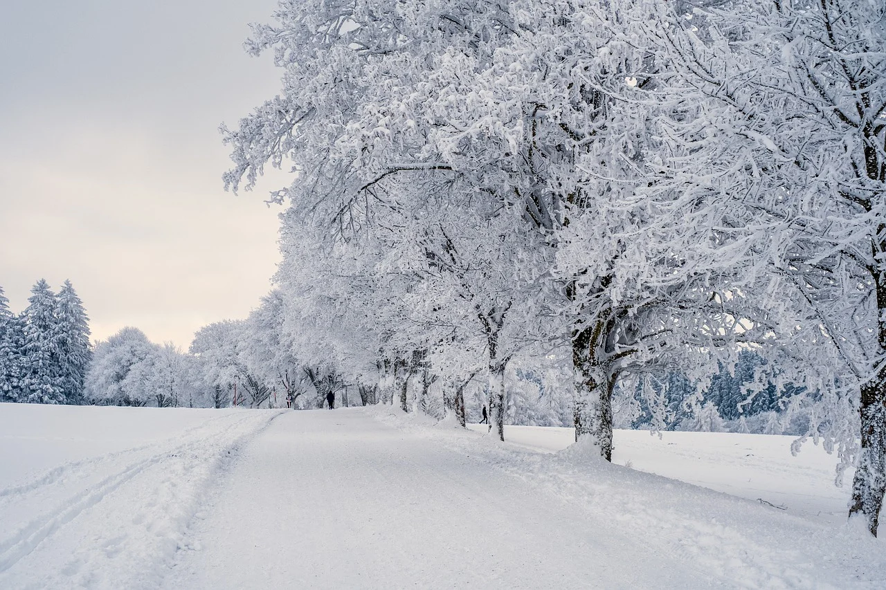 Încep ninsorile abundente în România. Pericol de avalanșe în Bucegi, Făgăraș și Parâng