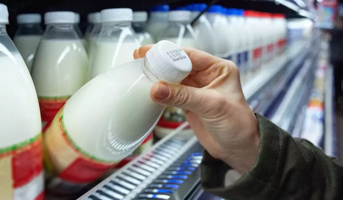 Producția de lactate din România, creștere masivă anul trecut