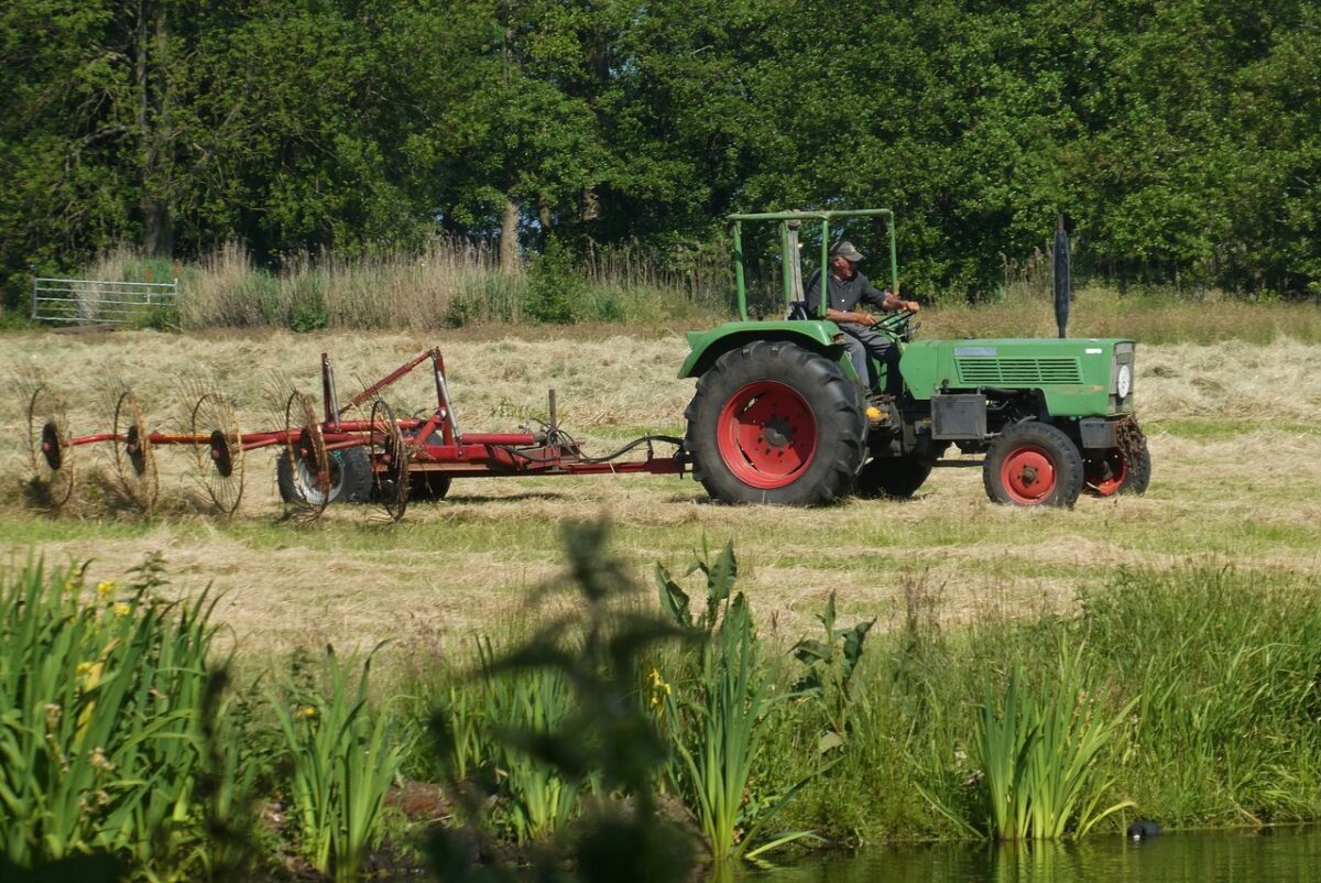 Agricultorul care a dat lovitura cu fructele-gigant. Oameni din toată țara vin să cumpere