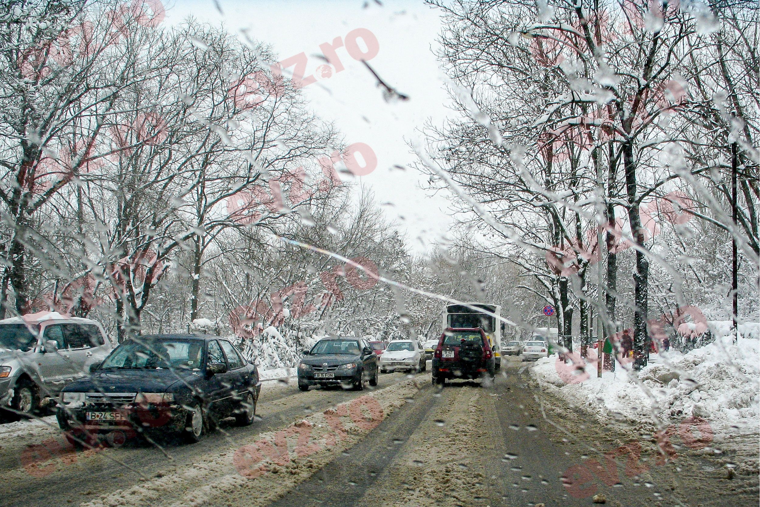 Prognoza meteo, 4 februarie. Vreme mai blândă în majoritatea județelor. Nu scăpăm de polei