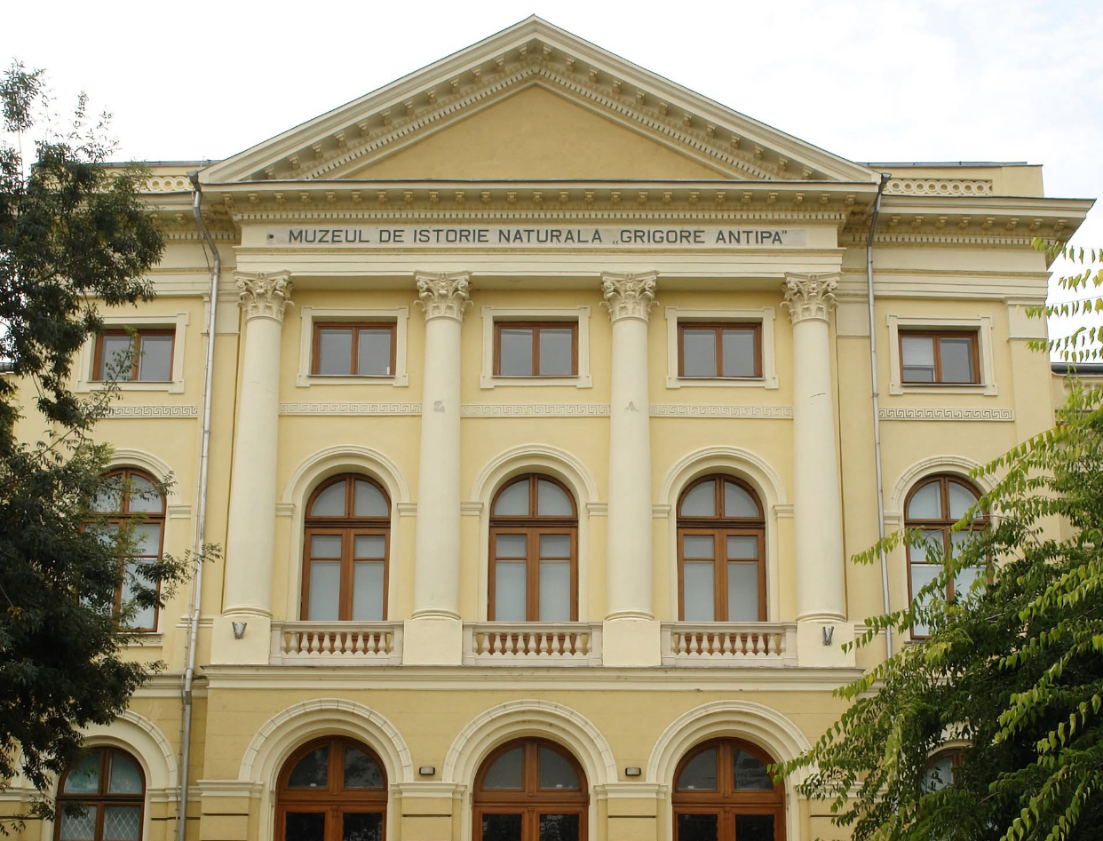 Noaptea Muzeelor 2026. Ce pot vizita românii gratuit în acest weekend