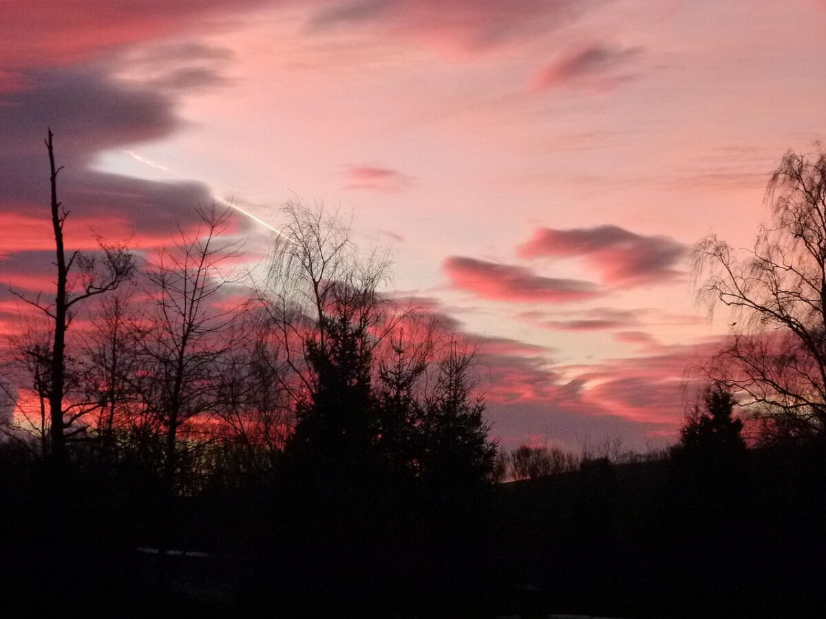 Prognoza meteo, 26 ianuarie. O nouă zi cu temperaturi inexplicabile