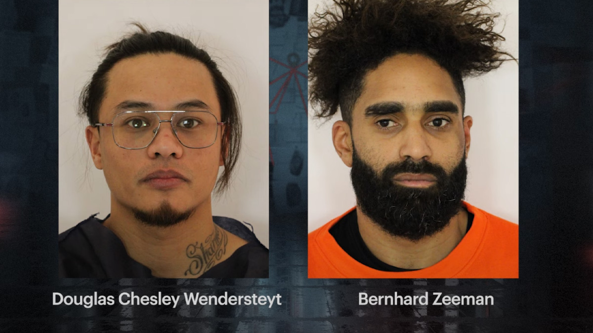 Furtul artefactelor dacice. Primele fotografii cu suspecții jafului