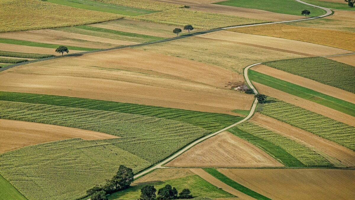 Cât costă un hectar de teren arabil în România, în funcție de regiune. Unii sunt chiar bogați