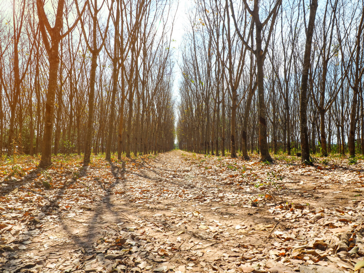 Vin zile teribile în România, vremea va provoca mare deranj la nivel național