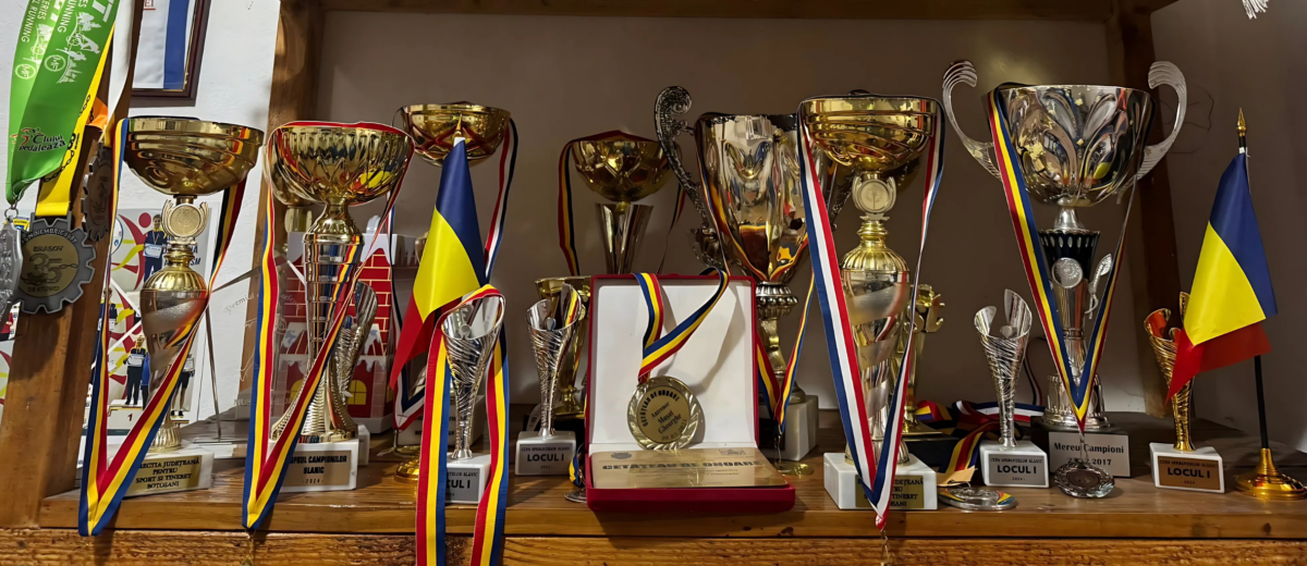 Povestea de Succes a unei Comunități și a Performanței (P)