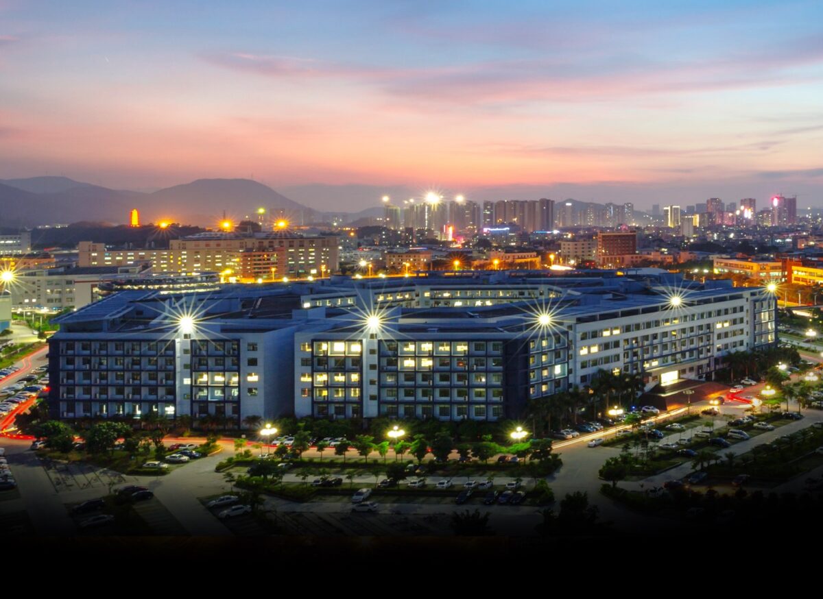 Seghedin va fi în curând inundat de muncitori chinezi