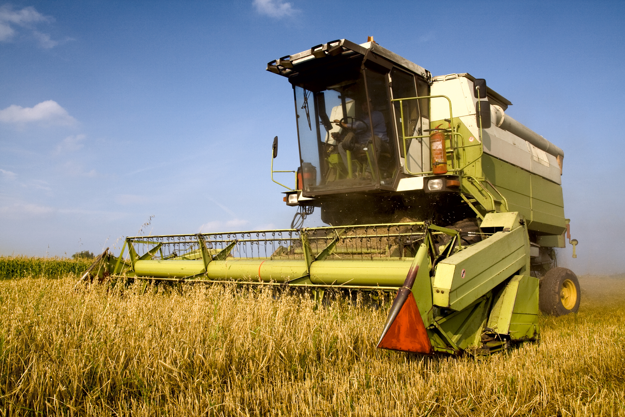 Semnal de alarmă din agricultură. Proiectul de lege care ar putea scumpi din nou hrana românilor