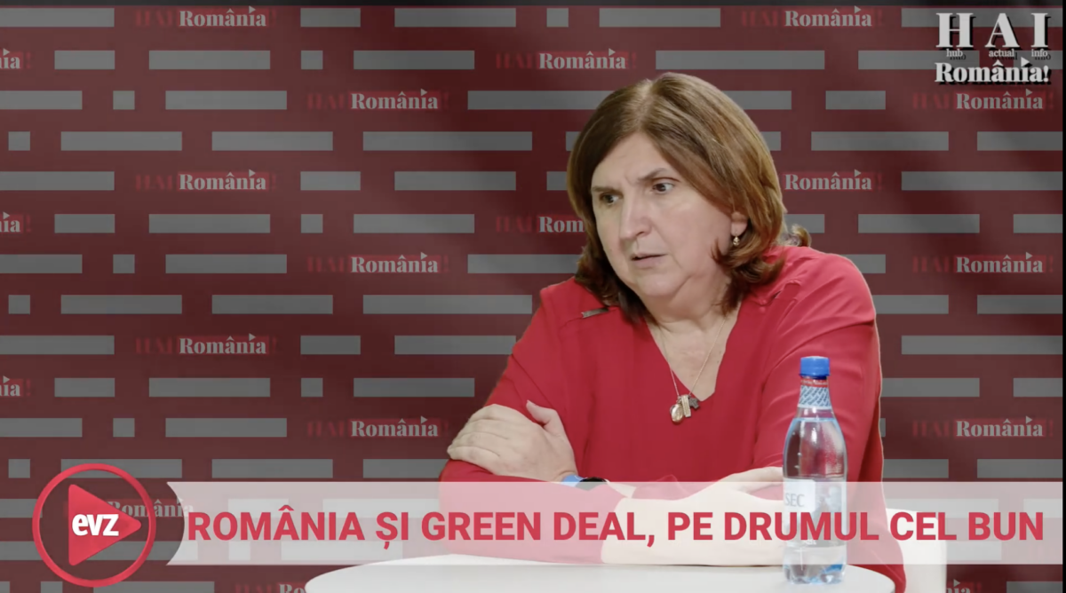 Corina Popescu, fost director Electrica, explică cum UE devine dependentă de fotovoltaicele chinezești