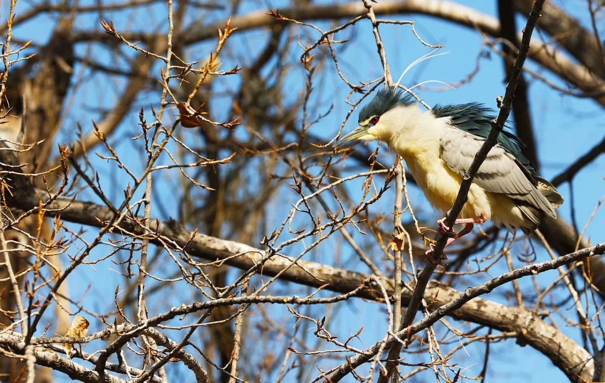 Vreme închisă în Republica Moldova, temperaturile încep să scadă
