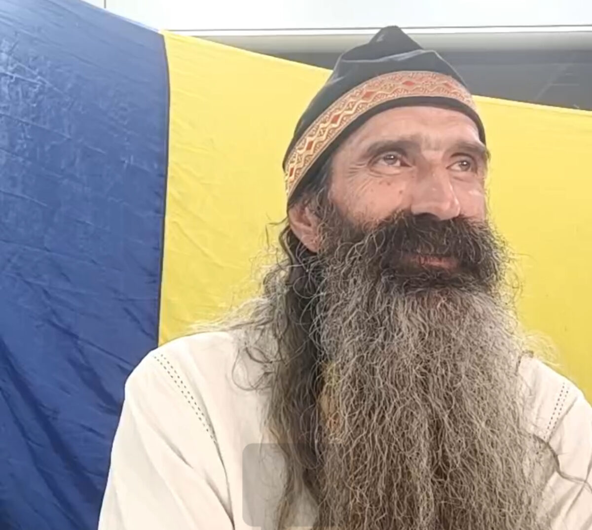 Stegarul Dac, imobilizat în fața Arestului Central. A încercat să se urce, din nou, în copac