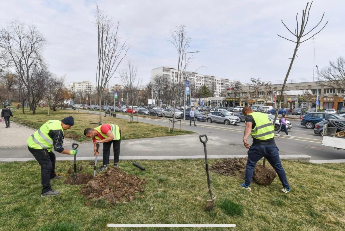 Luna curățeniei în București. Primăriile de sector cheltuie anual 2 miliarde de lei pentru curățenia și întreținera spațiilor verzi