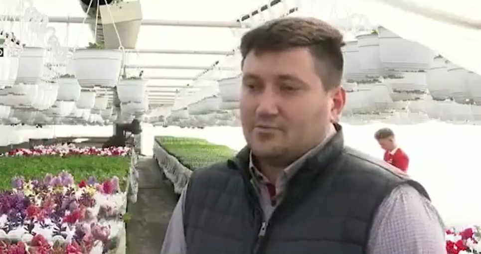 DJ-ul florilor. Un horticultor din Bihor își crește florile cu muzică