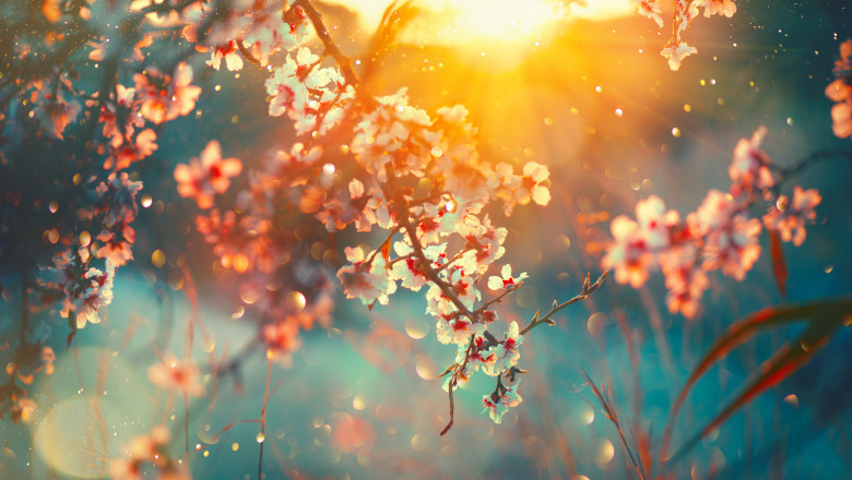 Când revine vremea de primăvară în România. Surprizele meteo se țin lanț