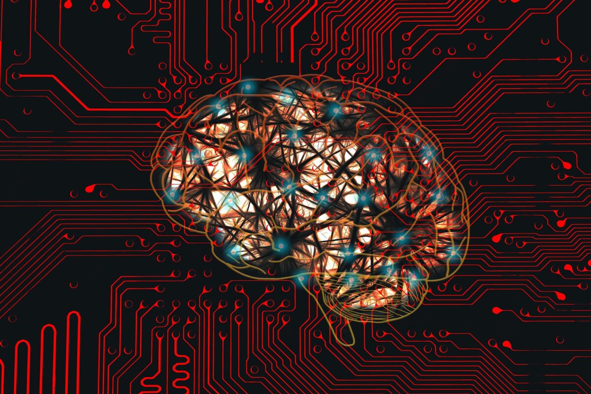 Partea creierului, care dă toată viața peste cap. Controlează frica, anxietatea, manipularea sau agresivitatea