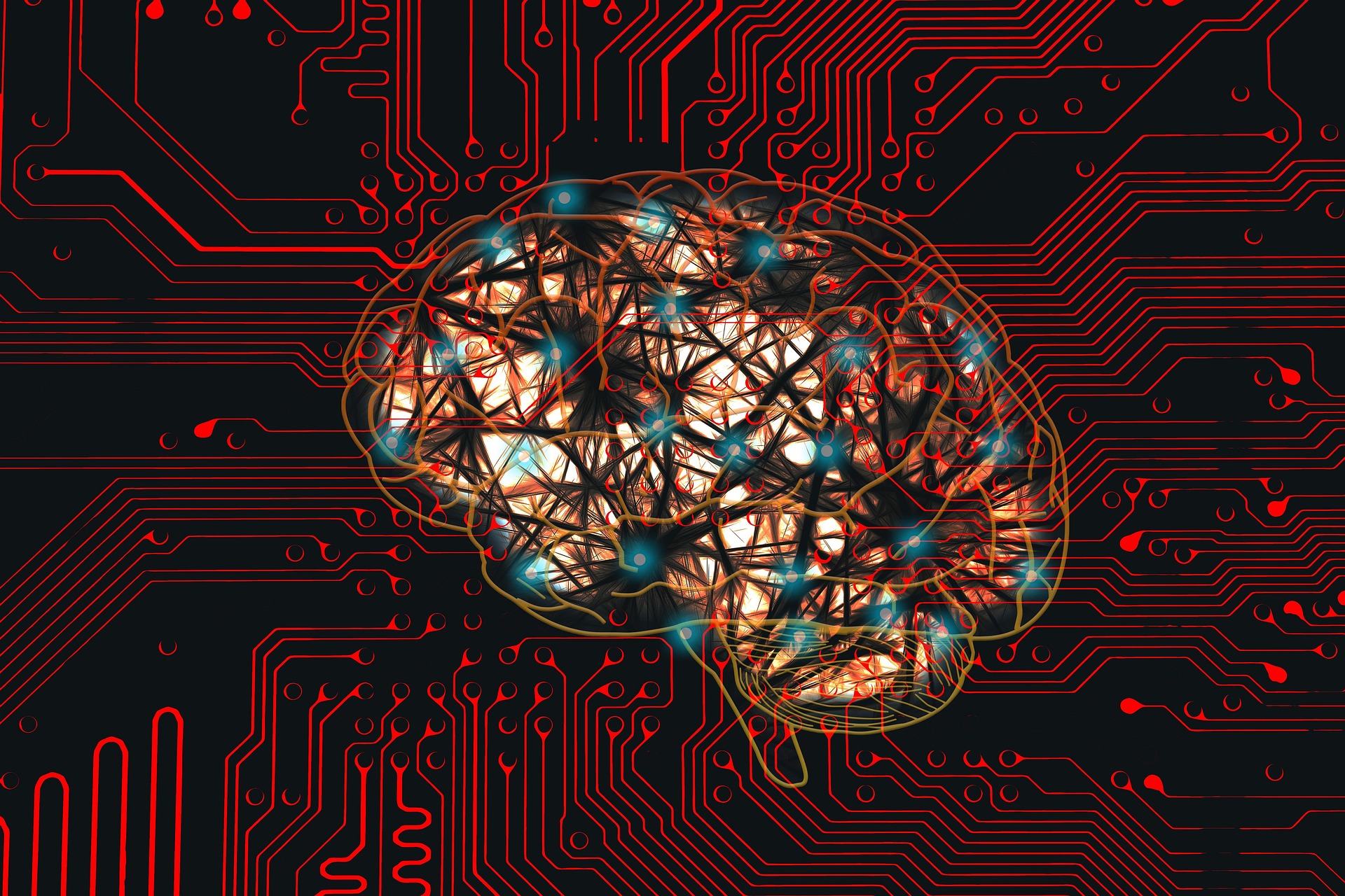 Partea creierului, care dă toată viața peste cap. Controlează frica, anxietatea, manipularea sau agresivitatea