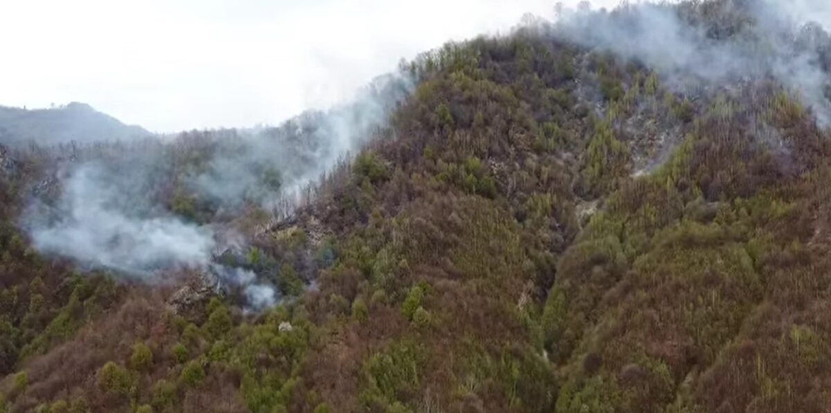 Incendiu de vegetație în Argeș. Flăcările s-au extins în apropierea Mănăstirii Cetățuia