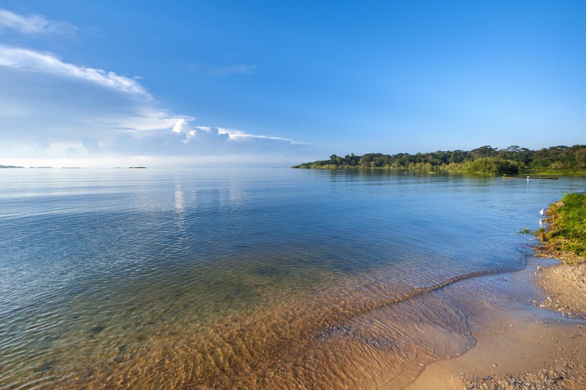 Lacul Victoria, colosul tropical al Africii, amenințat de o criză majoră