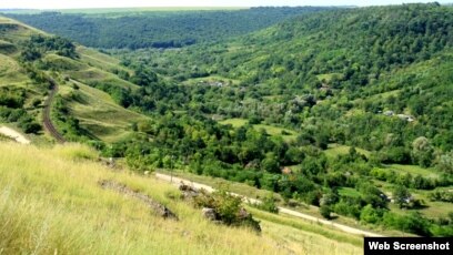 Suprafețele împădurite din Republica Moldova continuă să crească