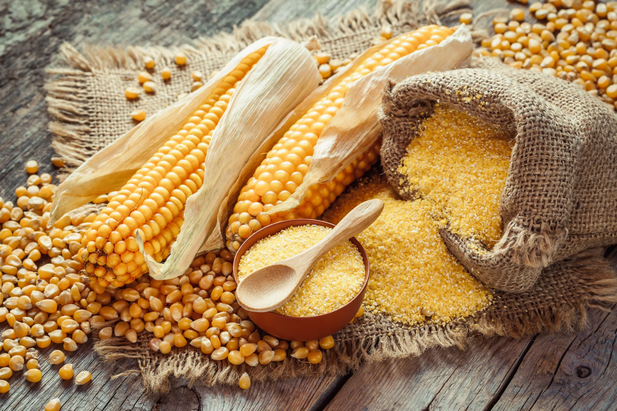 Parlamentul European aprobă noile plante „editate genetic”. Fermierii ar putea cultiva soiuri mai rezistente la secetă și boli în următorii ani