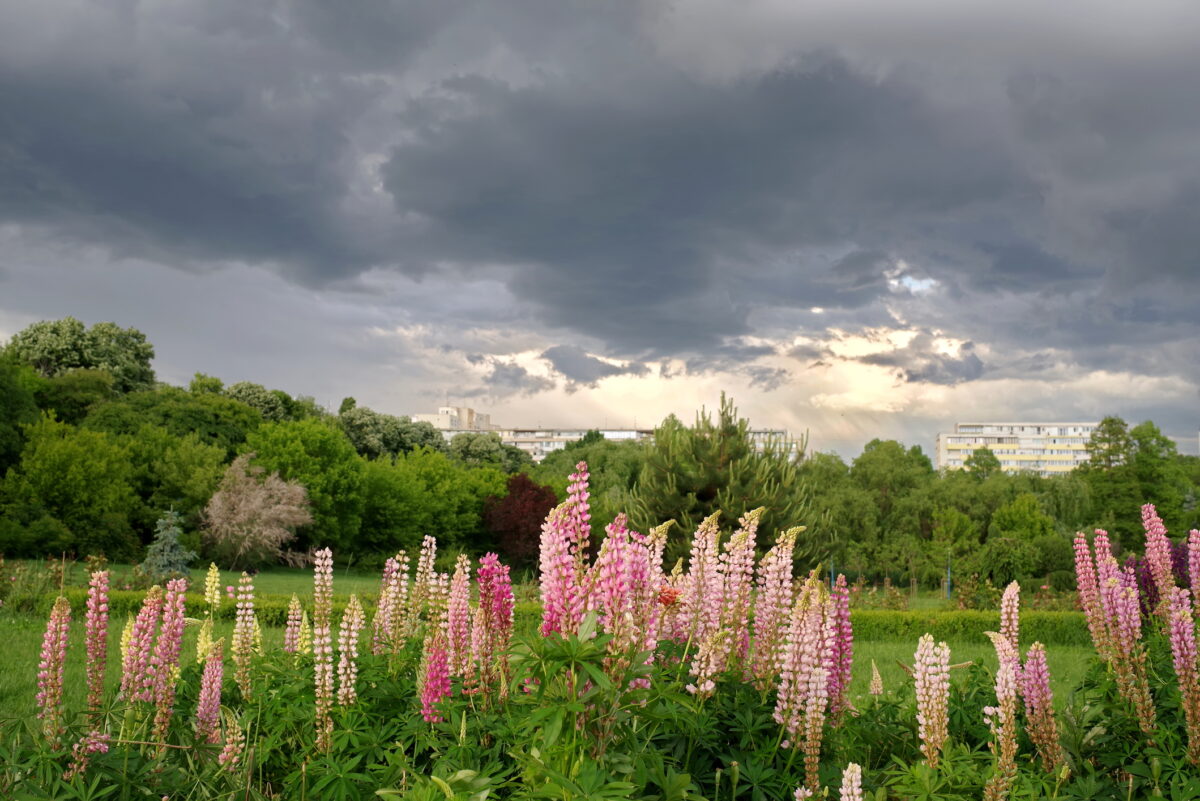 Vremea se strică în minivacanța de Paște. ANM a emis cod galben de furtuni