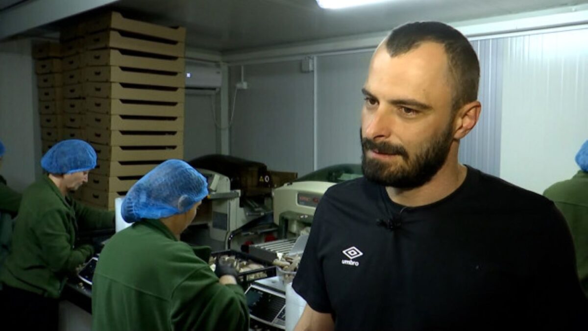 Un român s-a îmbogățit cu ajutorul unei legume. Recoltează patru tone pe săptămână