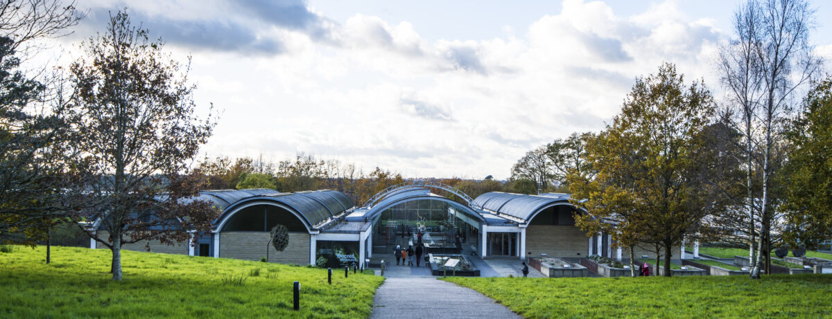 România și-a pierdut patrimoniul vegetal. Roșiile „inimă de bou” şi pepenii de Lovrin: „Nu le mai putem revendica”