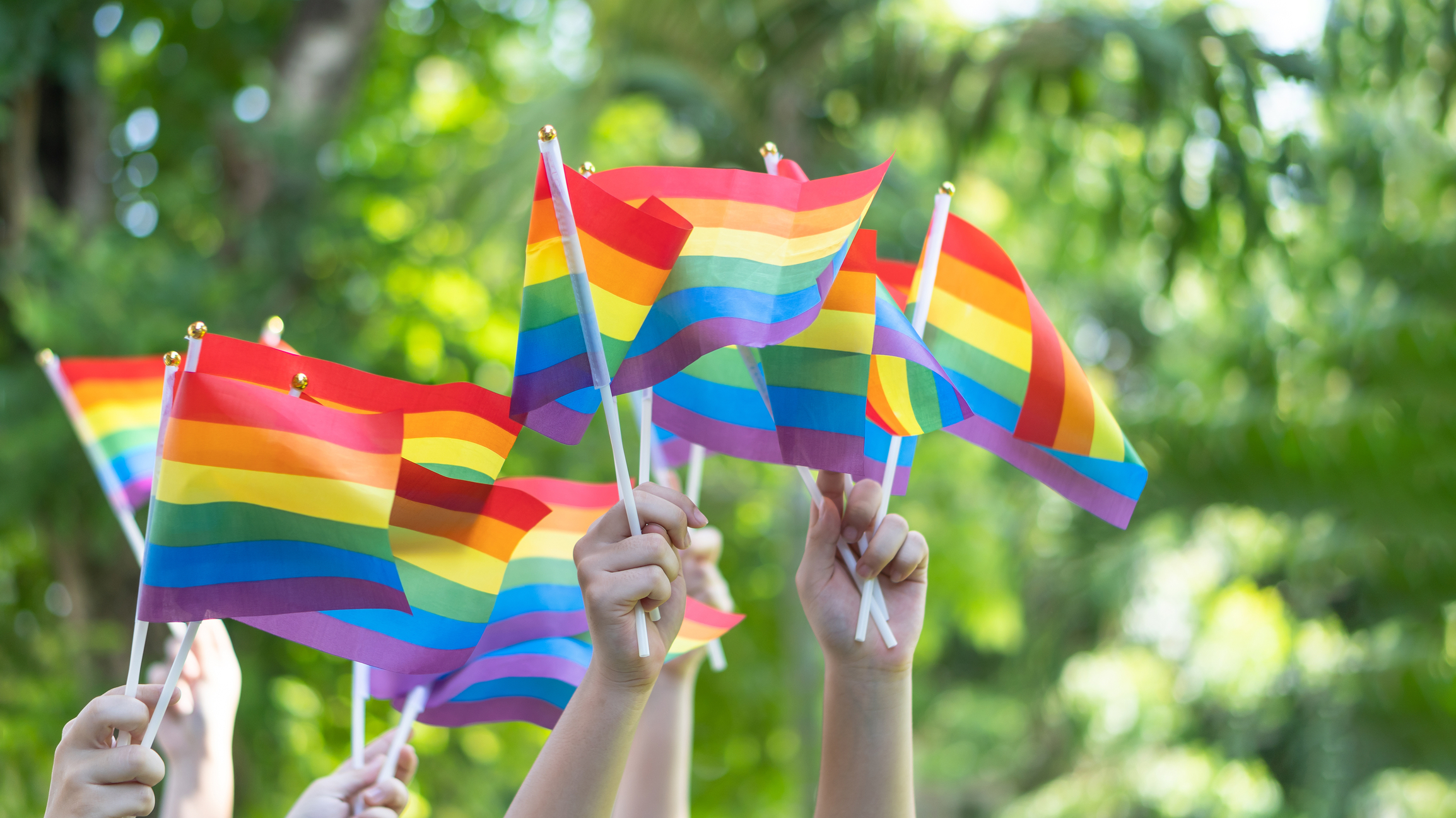 LGBTQ