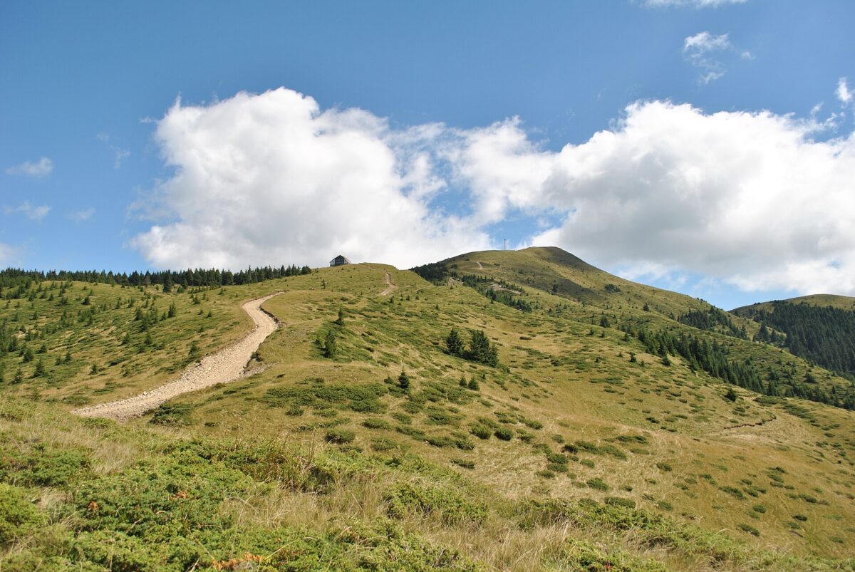 Poienile din România care au înnebunit Europa. Un spectacol natural unic în Carpați. Video