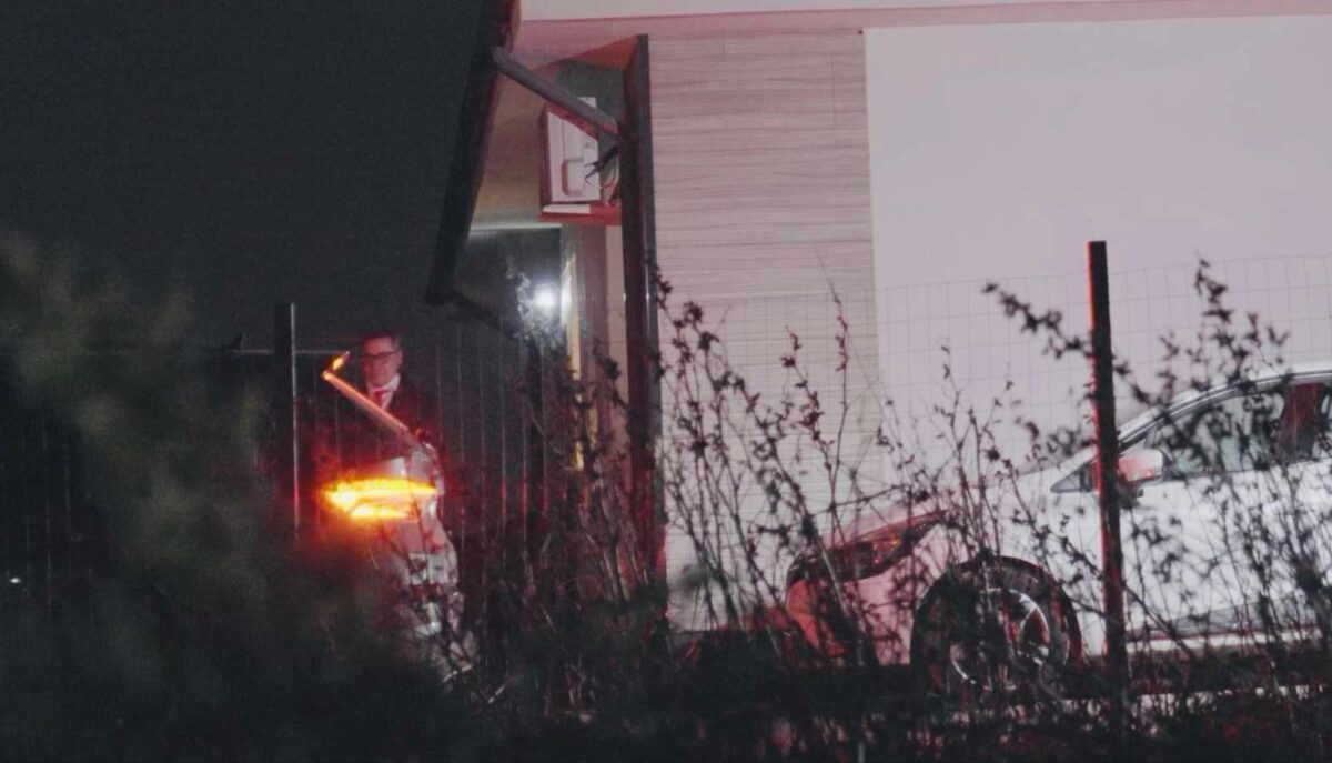 Șase explicații ale unui expert care demontează imaginile publicate de Elena Lasconi