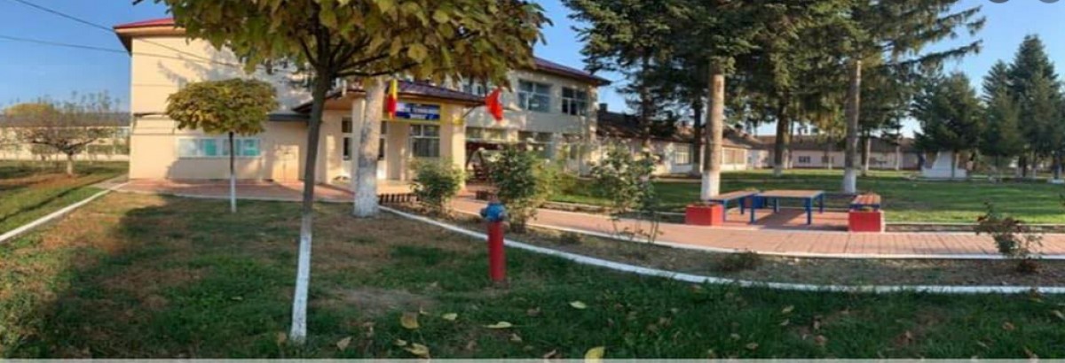 Profesoara care a ajuns dintr-o școală, Cenușăreasa învățământului, în top 13 dascăli din țară