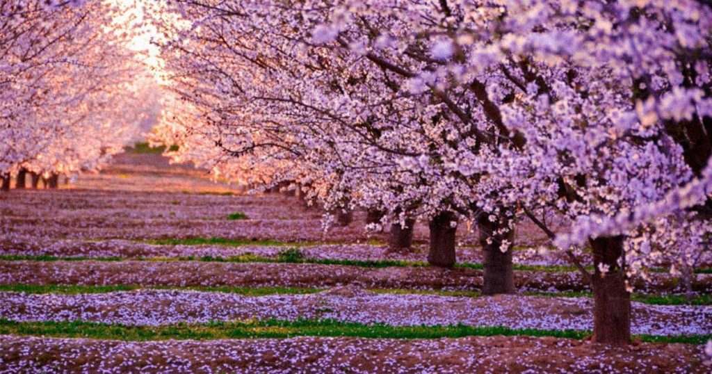 Meteorologii au emis din nou Cod galben de îngheț, deși nu s-au confirmat temperaturi periculoase