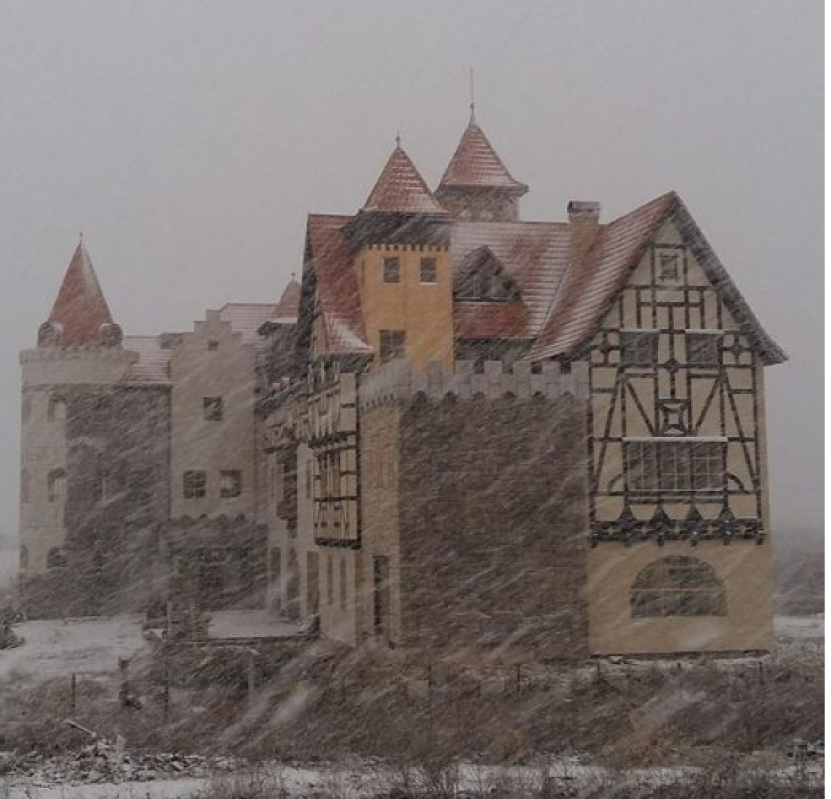 Consiliul Județean care e gata să cumpere castelul în stil bavarez al unui fost primar