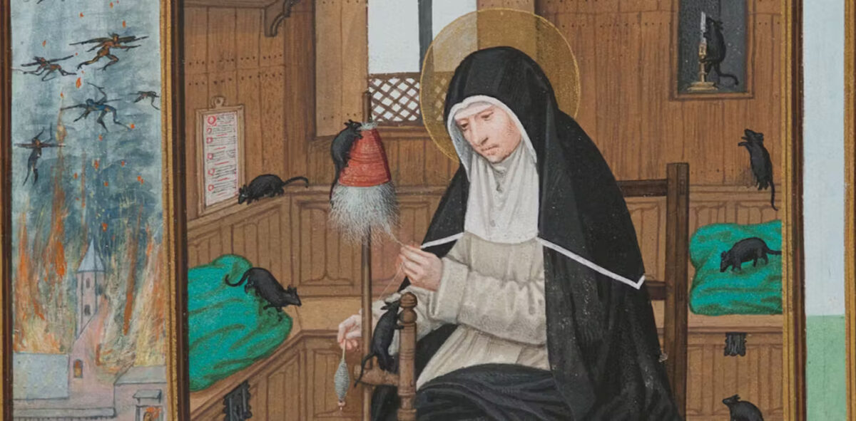 Pisicile între „anathema” și sfințenie