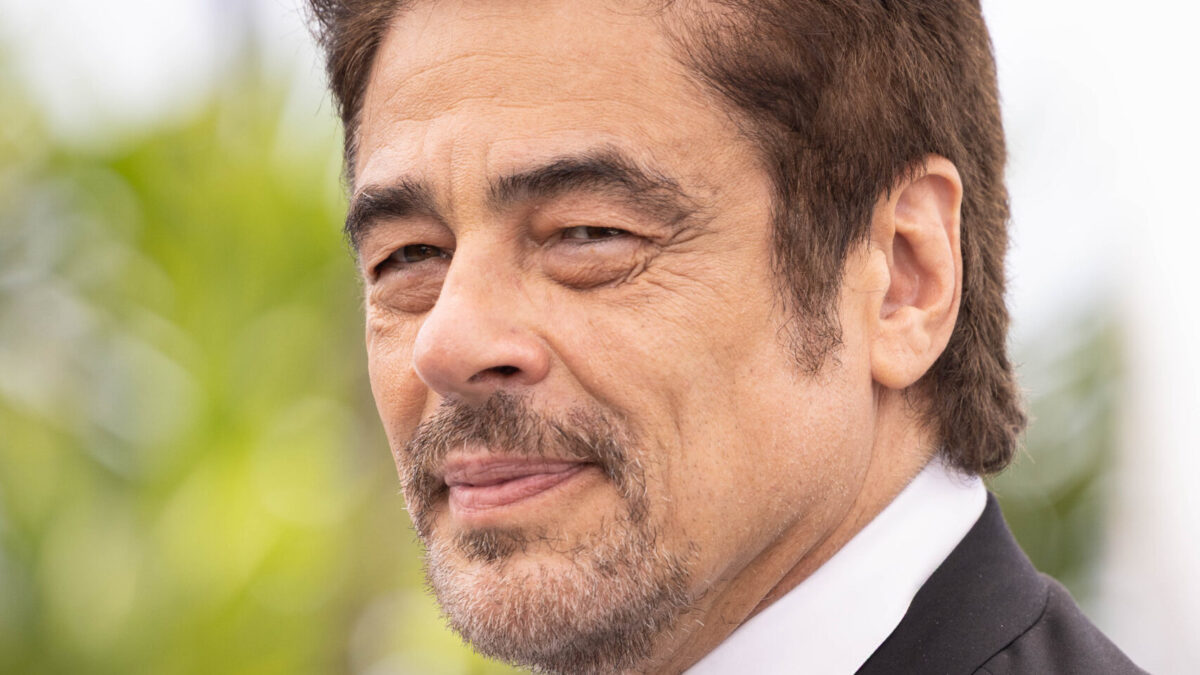 Benicio del Toro, reținut pe aeroport. Avea un plan de prăbușire a avionului