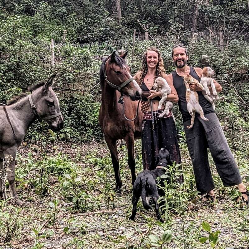 Horoscopul lui Dom’ Profesor, 2 iunie 2025. Pisicile din Vilcabamba
