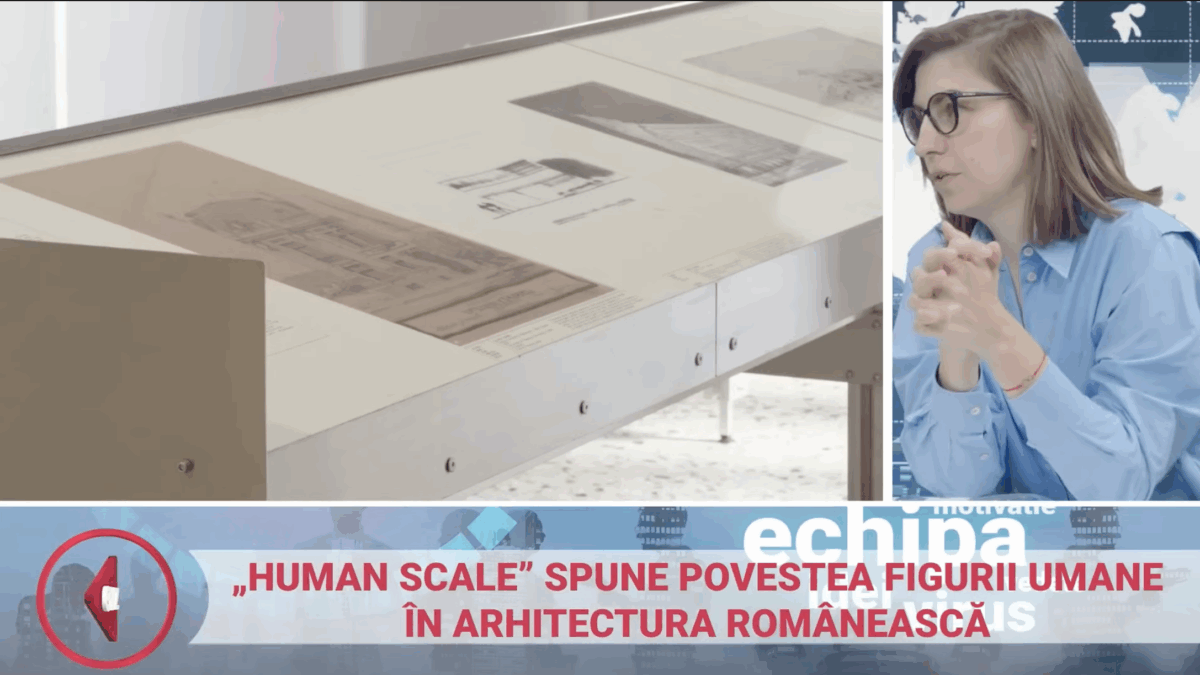 Noua tendință: Investiții în artă cu plata eșalonată. Video