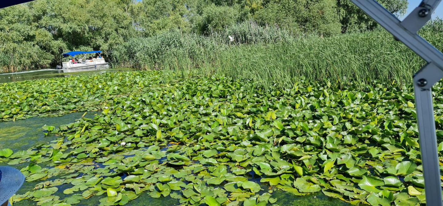 O mare problemă care apasă asupra Deltei Dunării. Trebuie găsite urgent soluții