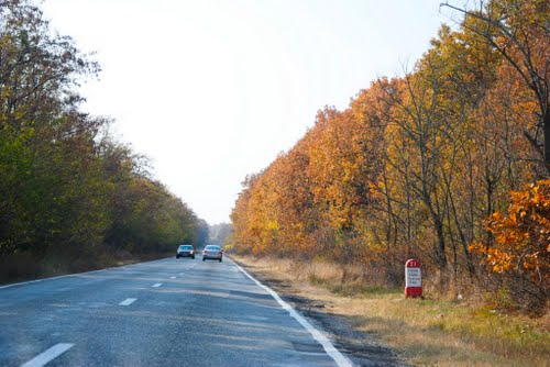 Singurul loc din România unde șoferilor li se recomandă să nu se uite înainte