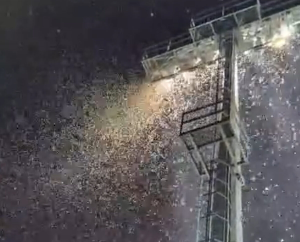 Invazia de insecte ar putea lovi din nou la partida cu echipa U19 a Olandei. Explicația autorităților